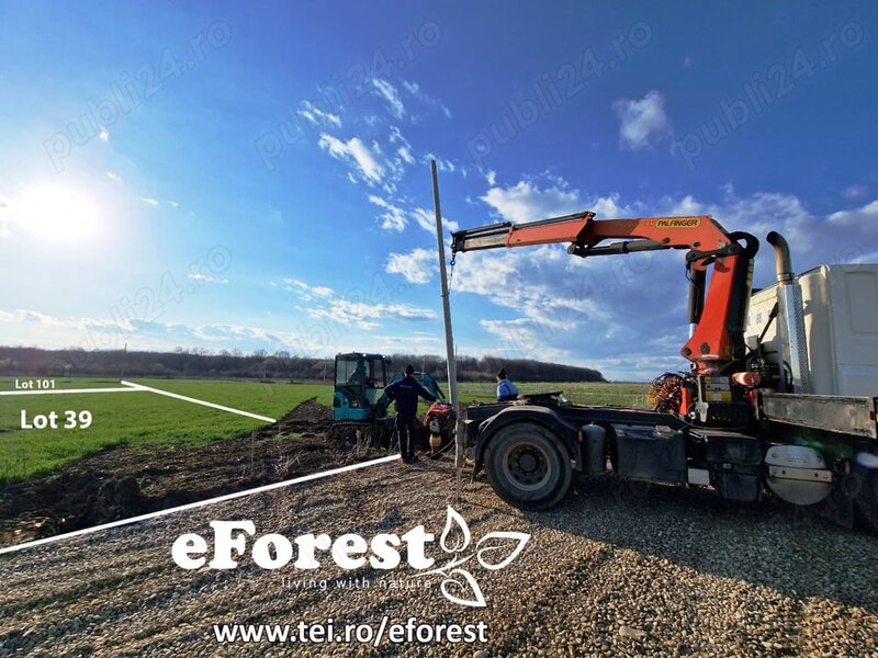 Crevedia, Loturi de casa intre 2 paduri, cu intrare din DN, eForest 1