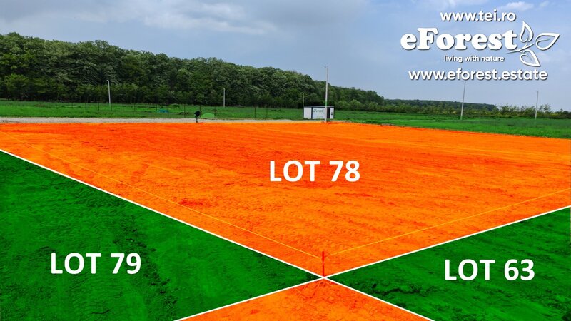 Crevedia, Loturi de casa intre 2 paduri, cu intrare din DN, eForest 1