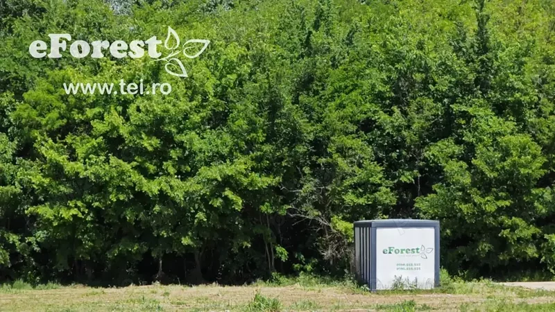 Crevedia, Loturi de casa intre 2 paduri, cu intrare din DN, eForest 1