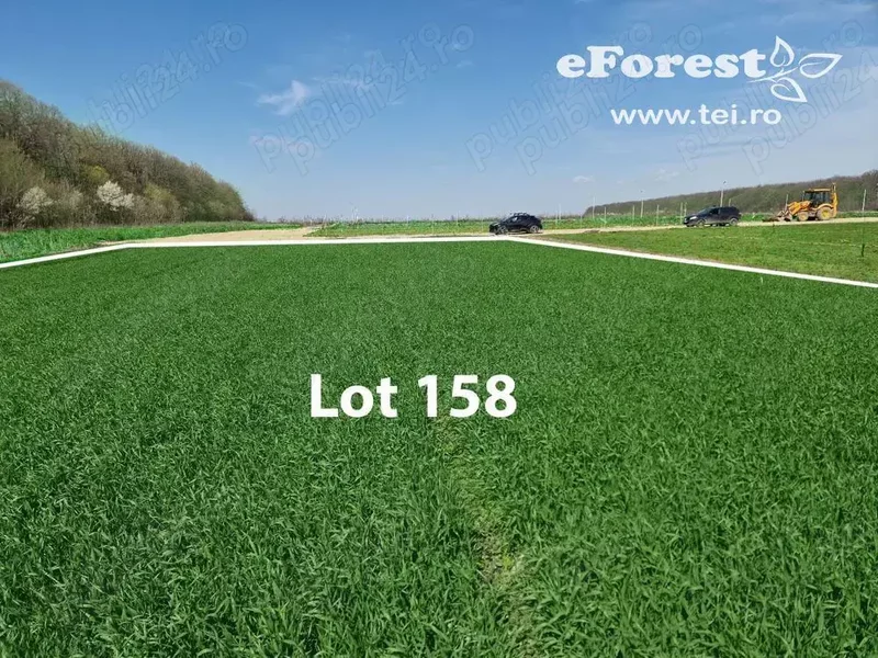 Crevedia, Loturi de casa intre 2 paduri, cu intrare din DN, eForest 1