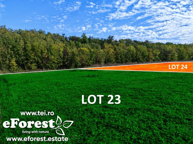 Crevedia, Loturi de casa intre 2 paduri, cu intrare din DN, eForest 1