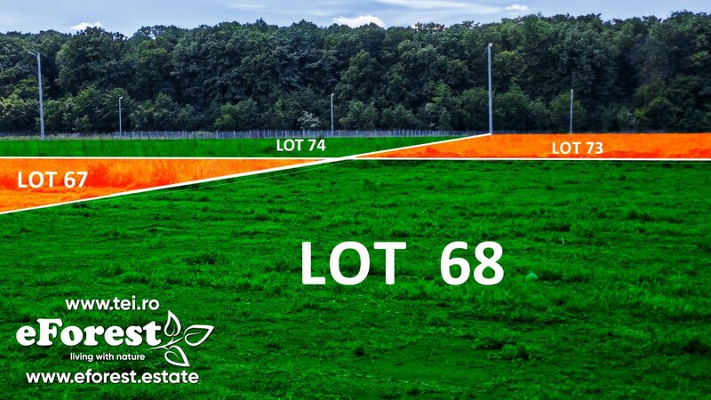 Crevedia, Loturi de casa intre 2 paduri, cu intrare din DN, eForest 1