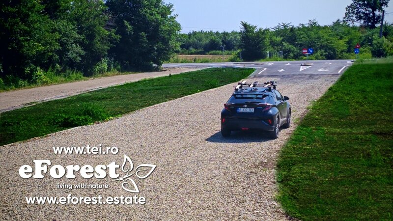 Crevedia, Loturi de casa intre 2 paduri, cu intrare din DN, eForest 1